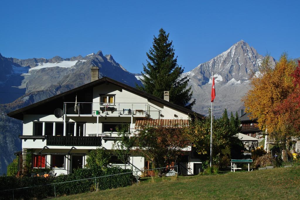Fortuna Bürchen Rum bild